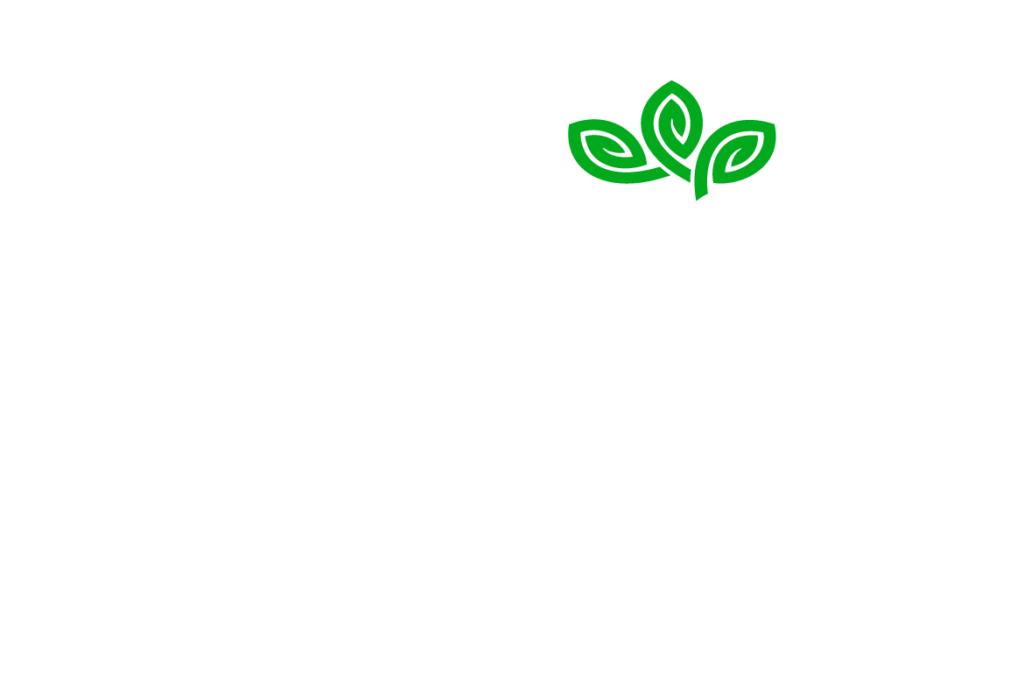 Logo DeNatura Vegan organic food